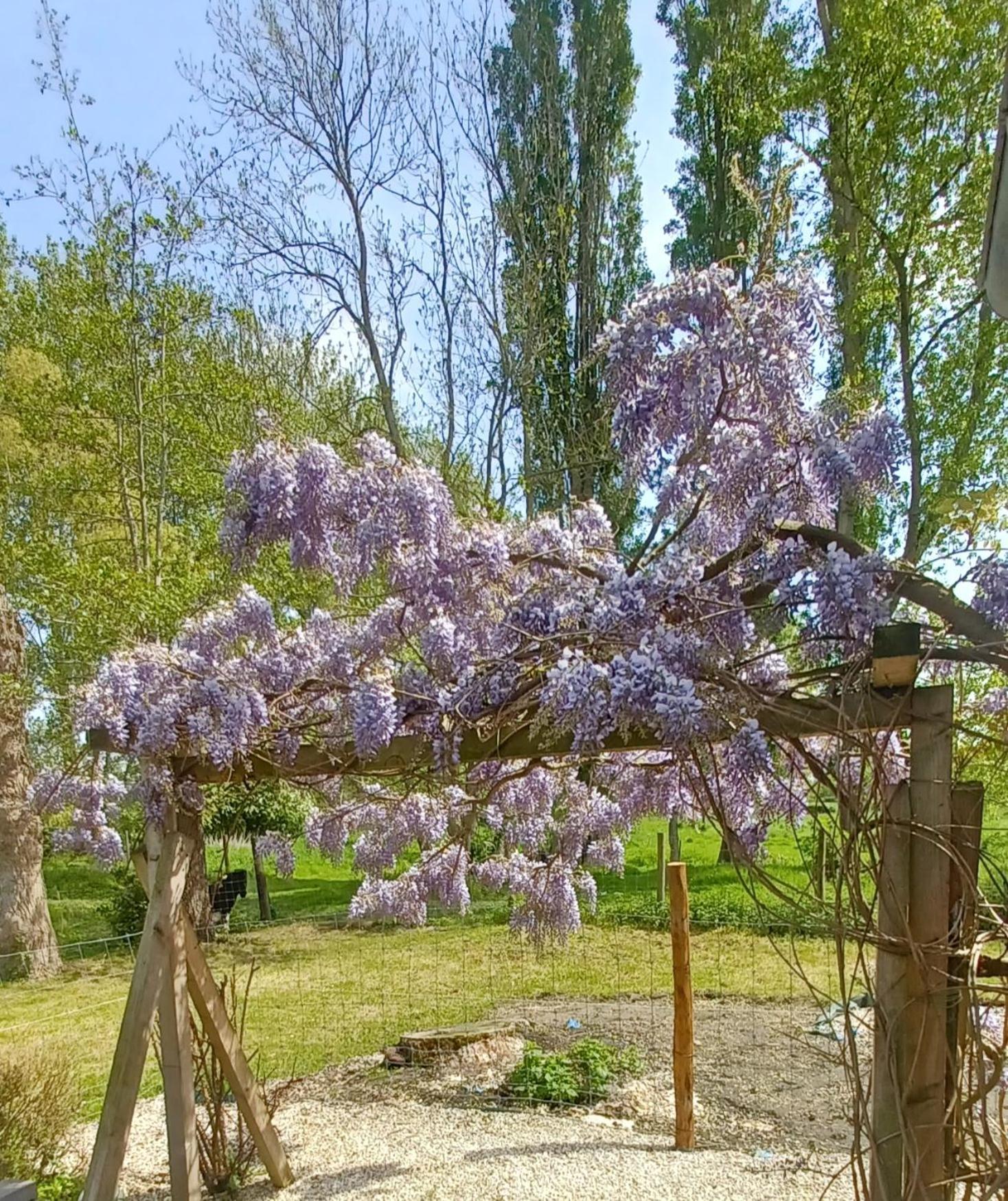 Nature Et Moi Wittes 外观 照片